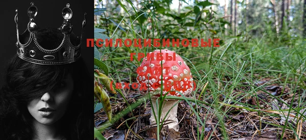 mdpv Зеленодольск