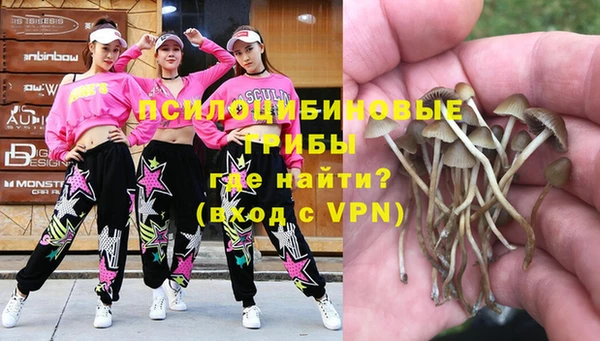 скорость Зеленокумск